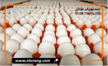 از ابتدای سال تاکنون ۳۳ هزار تن تخم‌مرغ صادر شده است